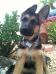 Deacon Von Beals