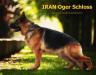Iran Oger Schloss