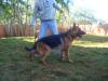 Dolly do Parque do Inga
