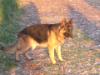 Winnie aus Bolivien