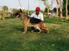 nishan`s baby