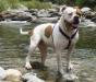  Maggie Patches Da Silva