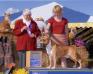 CH USA Tazmanian Olmar Diamond In The Ruff