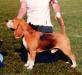 JWW-98, NORDW-01 Daragoj Brave Heart