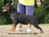 Nina-Otti of Nicola`s Lion