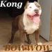  Bowwow King Kong In Los Angeles