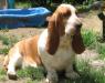 Rocklie's Lucy Lu T