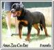 Amos Zara Cro Rott