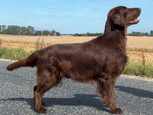 Huntlovers First Chocolate Coating