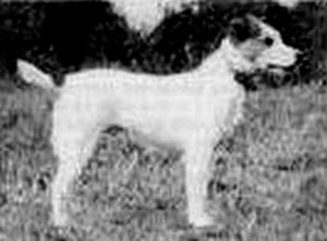East Essex Sam