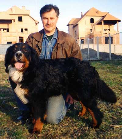 Banzay Noble Friend