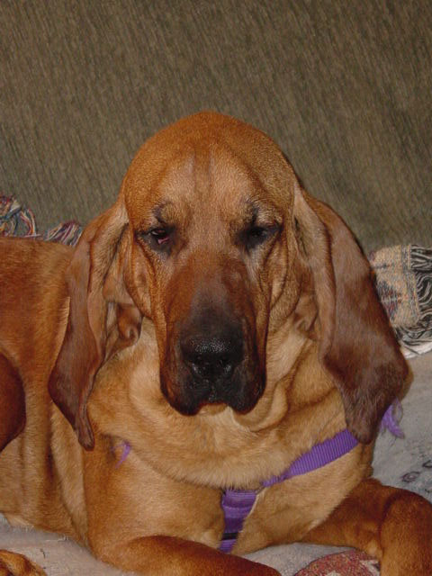 Maggie A Southern Confront