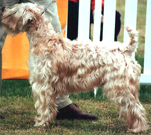 Timbey Topeca O'Kellynack