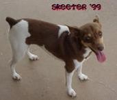 J.P. Skeeter
