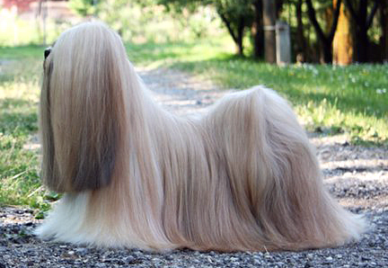Khalila Krug Grande