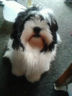 Holly's Benjamin Button