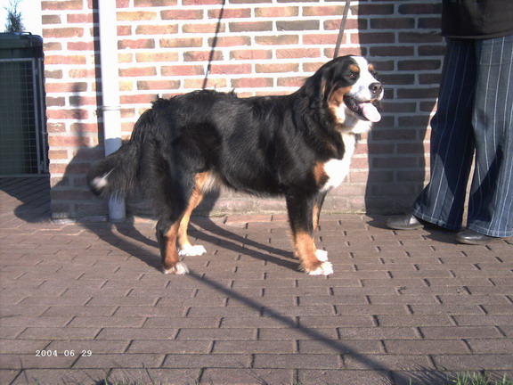 Wencke uut 't Waarkhuus