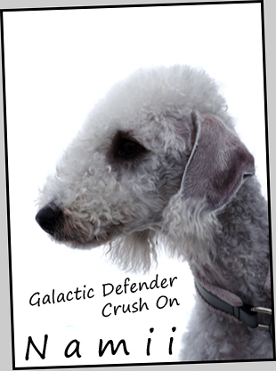 Galactic Defender Crush On