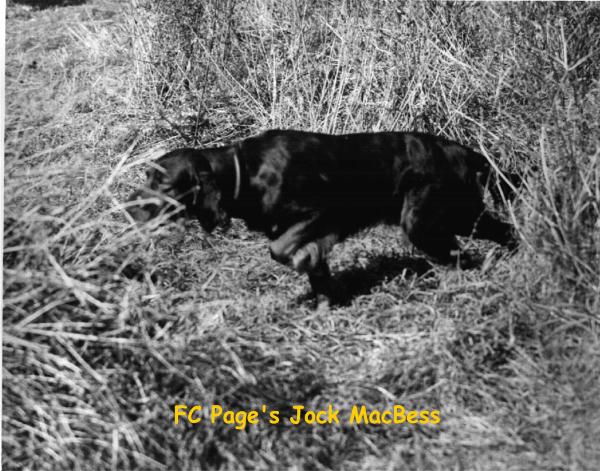 Page's Jock MacBess