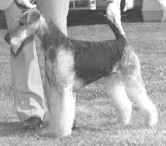 Blackheath's Isadora