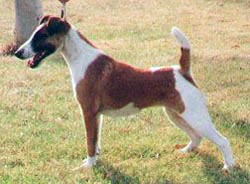 Bothwell Foxtrot