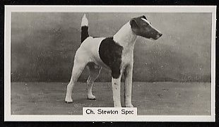 Stewton Spec