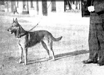 Fram de l'Ecaillon