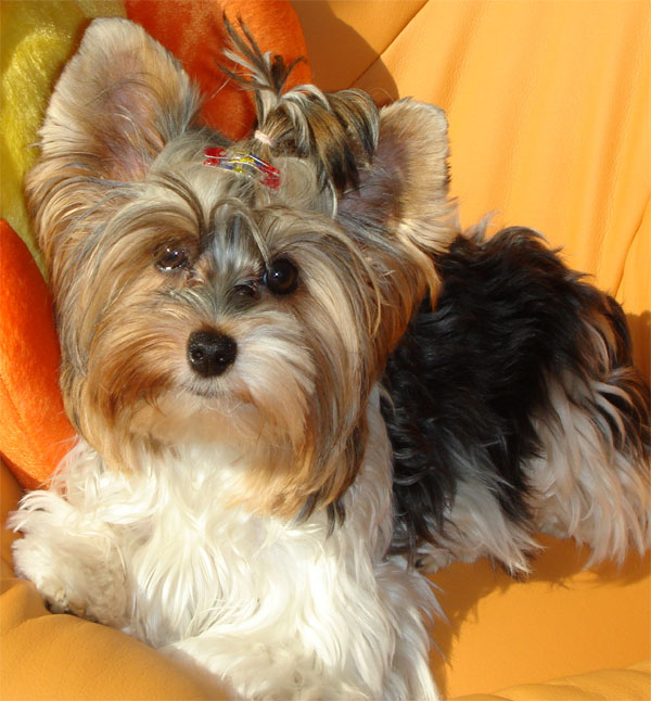 Alissa von my little Angels