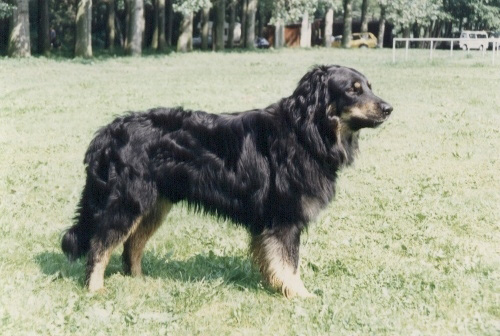 Barry von der Lerchenau