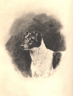 Grove Nettle (Hon. TW Fitzwilliam's) Grove Tartar x Sting