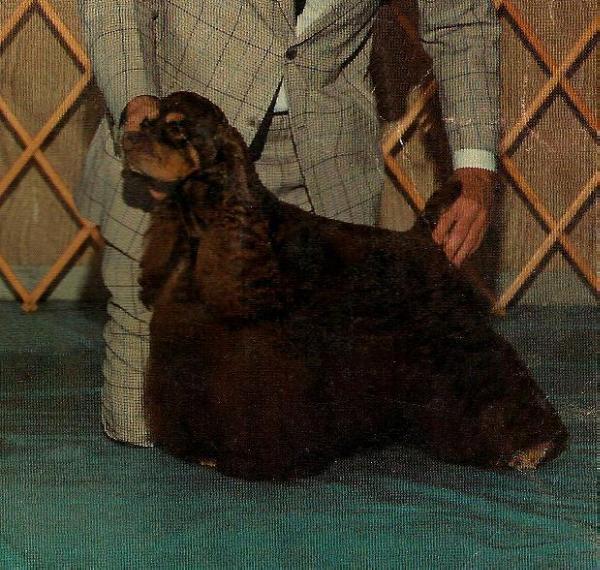 BeGay's Carmello F Hershey