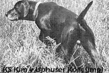 Kim vom Uphuser Kolk
