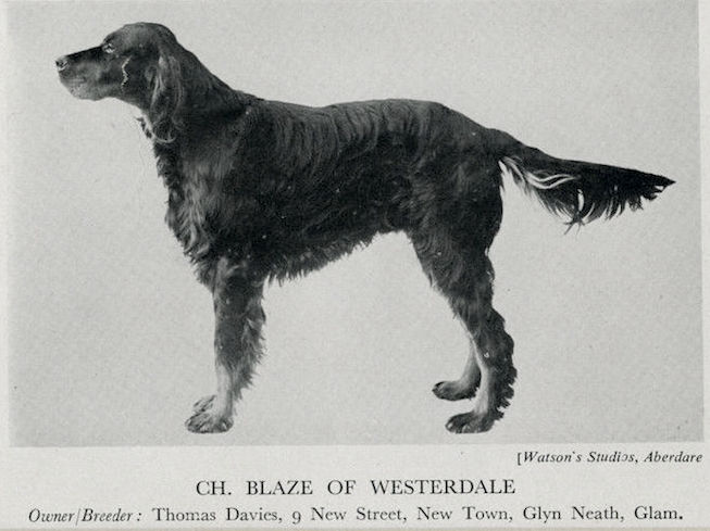 Blaze of Westerdale