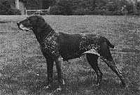 Ora v. Hege-Haus