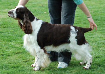 Graftonbury Navahoe At Dexbenella