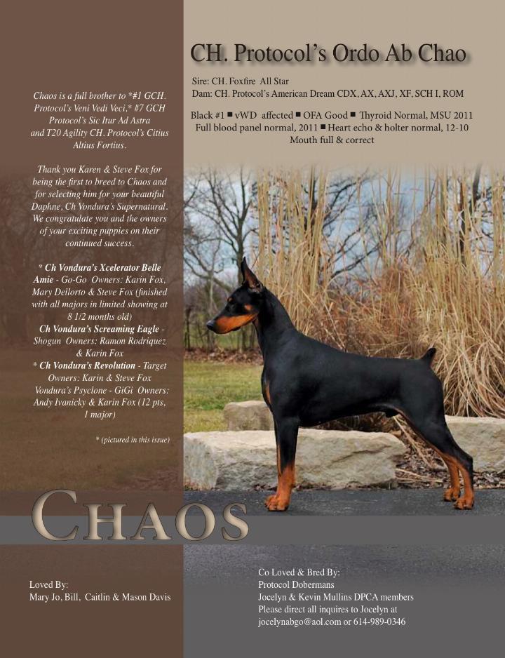 Protocol's Ordo Ab Chao