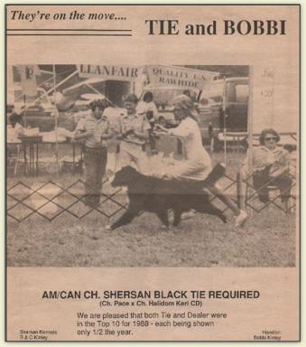 Shersan's Black Tie Required