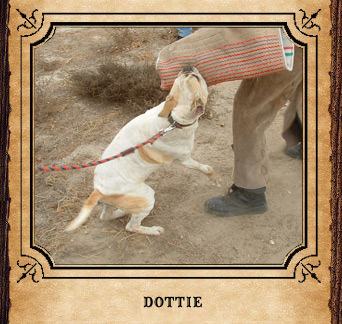 CRK's Dottie Patches