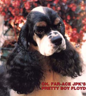 Far-Ace JPK Pretty Boy Floyd