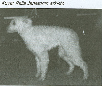 Kutyavári Fitos