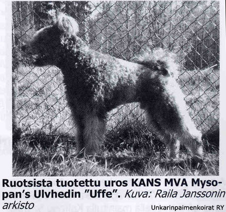 Mysopan's Ulvhedin