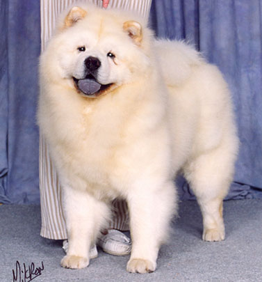 Mi-Paos Macho Cream