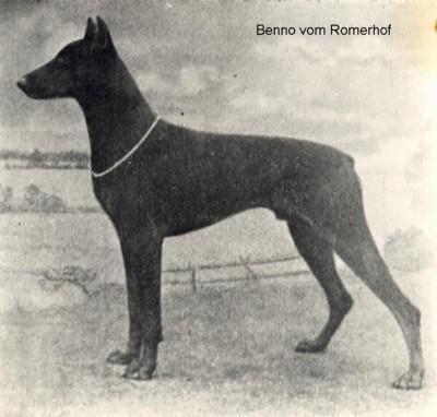 Benno vom Römerhof