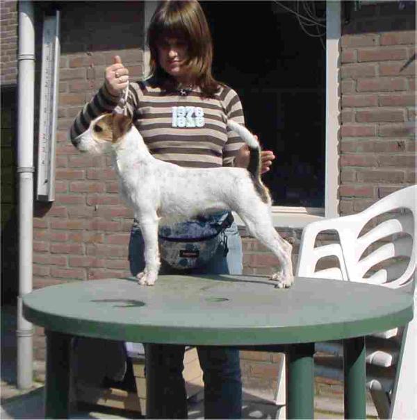Lady Luca from Byoux Home