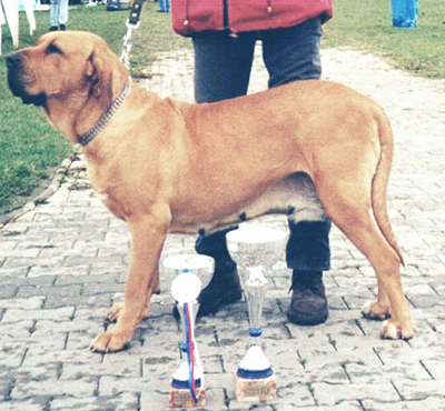 Caila do Quizanga