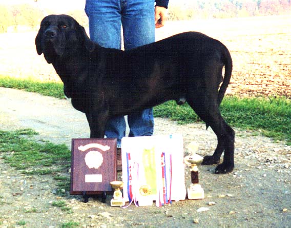 Karibe z Bodlaci