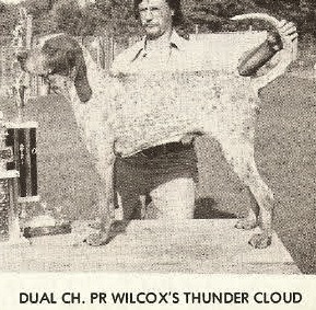 Wilcox Thunder Cloud