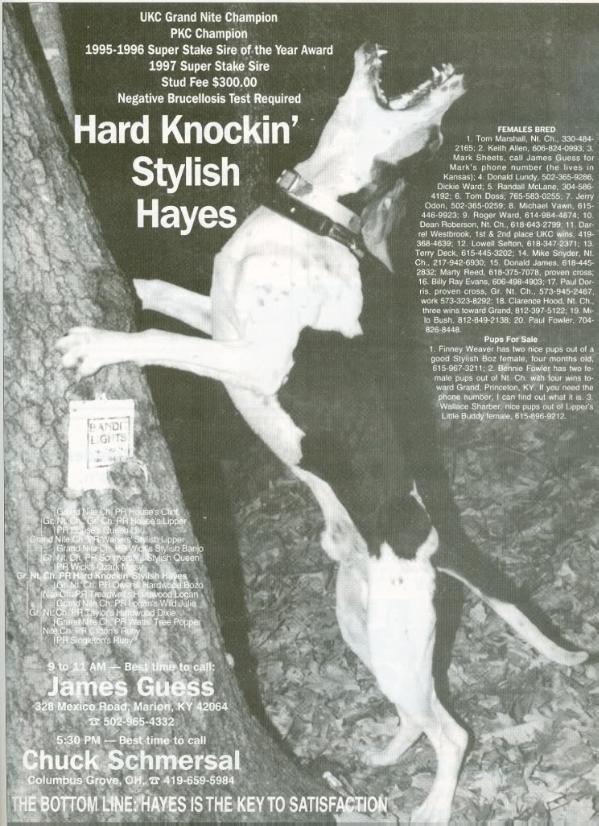 Hard Knockin Stylish Hayes