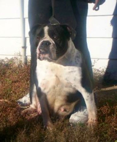 Cortez demonica stinson