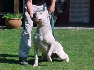 Blanca de la Catorce